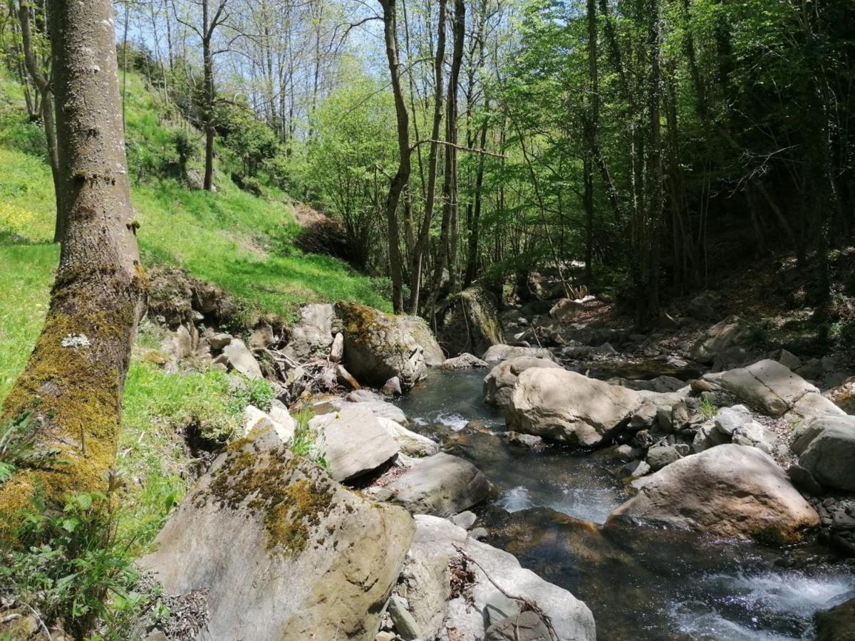 Les Pedres Villa Кампродон Екстериор снимка